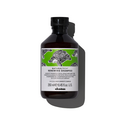 Davines Naturaltech Shampoo Renovador