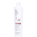 Inebrya Ice Cream Keratin Reestructuring Shampoo