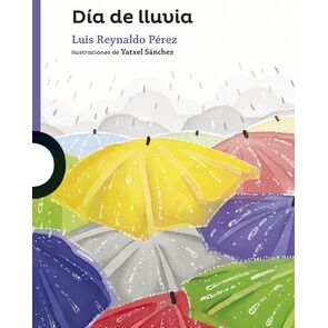 Día de Lluvia