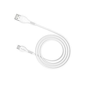 Platinum Cable Tipo C a USB