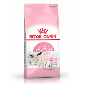 Royal Canin Fhn Purina para Madres y Gatitos