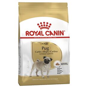 Royal Canin Bhn Alimento para Pug Adulto