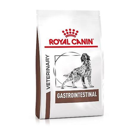 Royal Canin Vd Purina para Perro con Problemas Digestivos